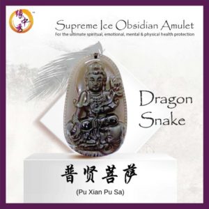 1. PNEC-0095 - Dragon, Snake - 普贤菩萨(Yuan Zhong Siu)