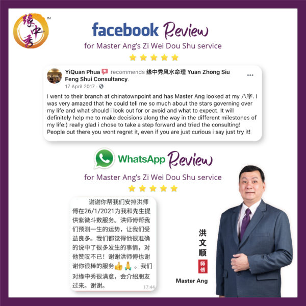 Review Zi Wei Dou Shu Astrology Service by Master Ang
