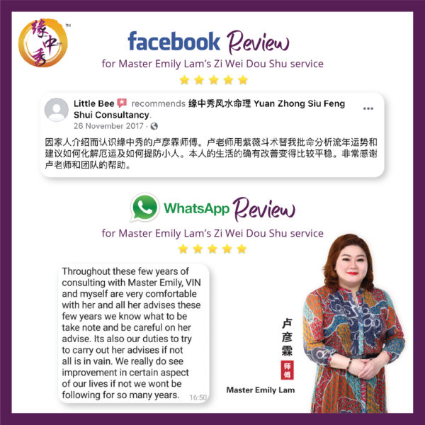 Review Zi Wei Dou Shu Astrology Service by Master Emily Lam