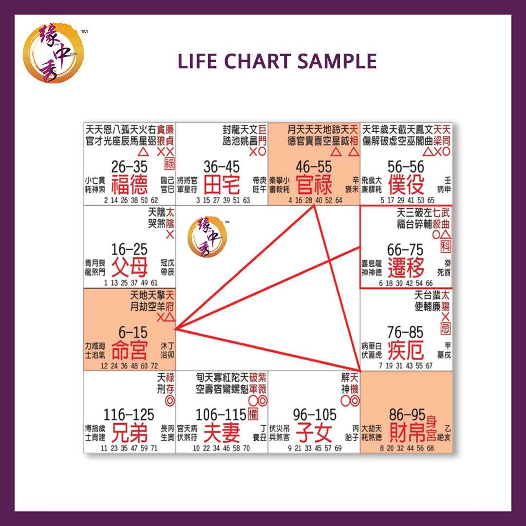 Yuan-Zhong-Siu-Zi-Wei-Dou-Shu-Life-analysis-chart-map