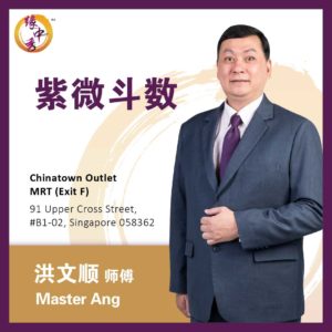 Zi Wei Dou Shu Astrology 紫微斗数 by Master Ang (Yuan Zhong Siu)