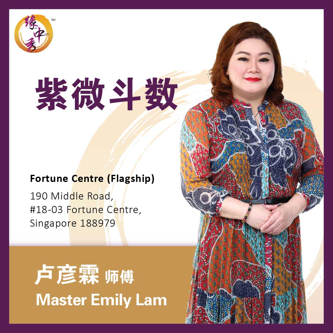 Zi Wei Dou Shu Astrology 紫微斗数 by Master Emily (Yuan Zhong Siu)