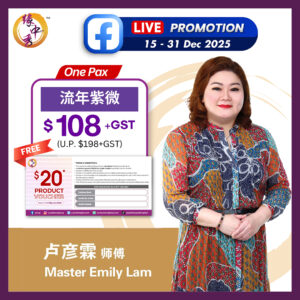 PROMO : Zi Wei Dou Shu (Ba Zi) Reading by Master Emily Lam