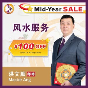 Feng Shui Audit by Master Ang