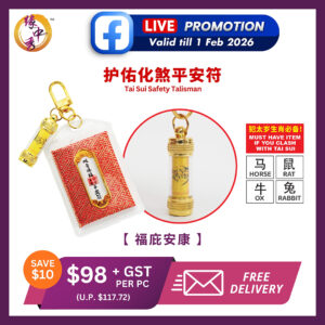 Tai Sui Safety Talisman