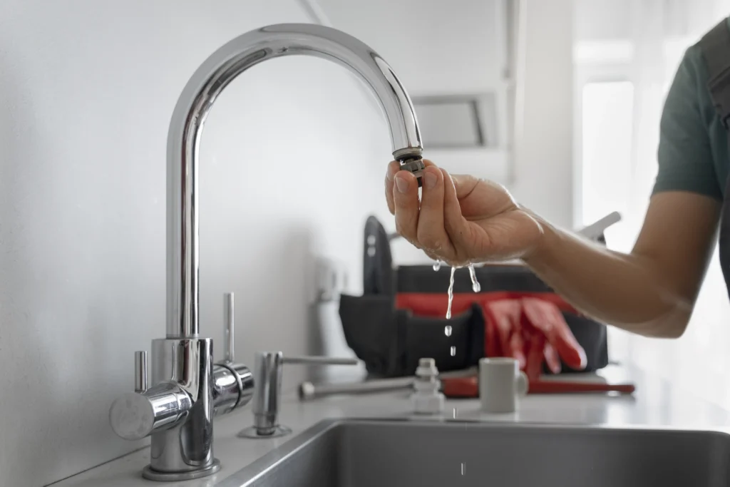 Ensure No Leaking Faucets or Pipes