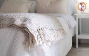 Bed placed in the optimal sleeping direction