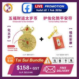 Tai Sui Bundle (Tai Sui Emblem + Tai Sui Safety Talisman)