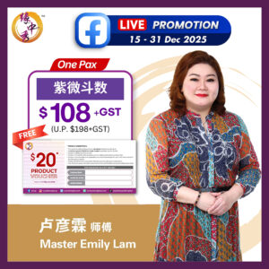 PROMO : Zi Wei Dou Shu (Ba Zi) Reading by Master Emily Lam