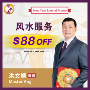 Feng Shui Audit by Master Ang