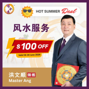Feng Shui Audit by Master Ang